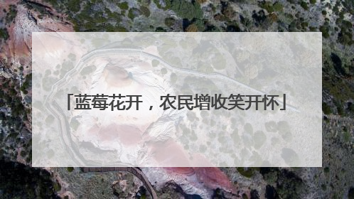 蓝莓花开，农民增收笑开怀