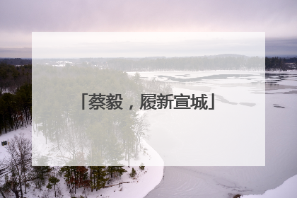 蔡毅，履新宣城