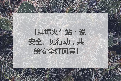 蚌埠火车站：说安全、见行动，共绘安全好风景