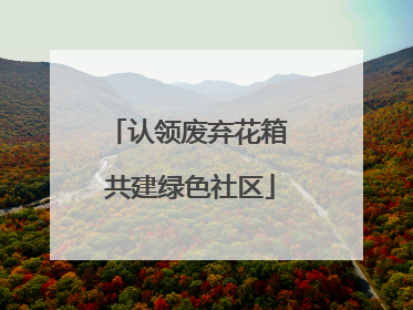 认领废弃花箱 共建绿色社区