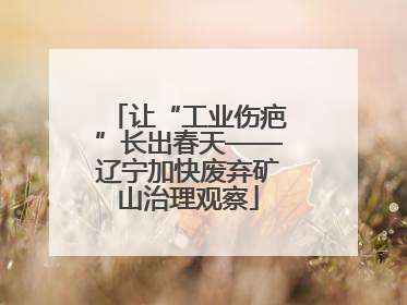 让“工业伤疤”长出春天——辽宁加快废弃矿山治理观察