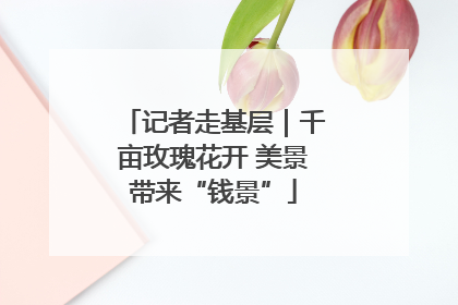 记者走基层｜千亩玫瑰花开 美景带来“钱景”