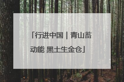 行进中国｜青山蓄动能 黑土生金仓