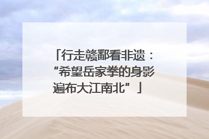 行走赣鄱看非遗：“希望岳家拳的身影遍布大江南北”