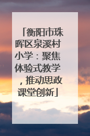 衡阳市珠晖区泉溪村小学：聚焦体验式教学，推动思政课堂创新
