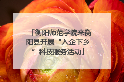 衡阳师范学院来衡阳县开展“入企下乡”科技服务活动