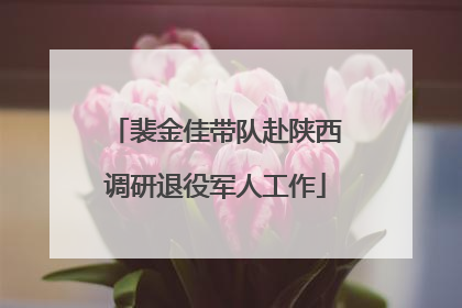 裴金佳带队赴陕西调研退役军人工作