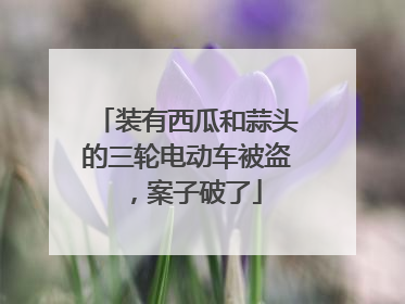 装有西瓜和蒜头的三轮电动车被盗，案子破了