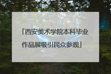 西安美术学院本科毕业作品展吸引民众参观
