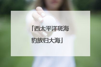 西太平洋斑海豹放归大海