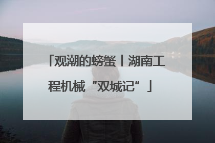 观潮的螃蟹丨湖南工程机械“双城记”