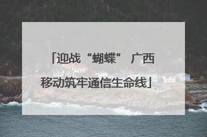 迎战“蝴蝶” 广西移动筑牢通信生命线