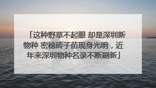 这种野草不起眼 却是深圳新物种 密穗砖子苗现身光明，近年来深圳物种名录不断刷新