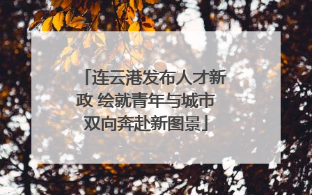 连云港发布人才新政 绘就青年与城市双向奔赴新图景
