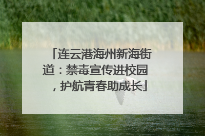 连云港海州新海街道：禁毒宣传进校园，护航青春助成长