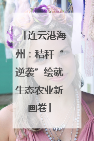 连云港海州：秸秆“逆袭”绘就生态农业新画卷