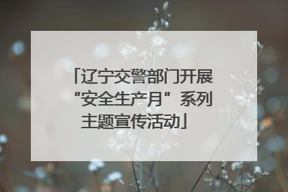辽宁交警部门开展“安全生产月”系列主题宣传活动