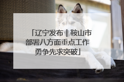 辽宁发布｜鞍山市部署八方面重点工作勇争先求突破