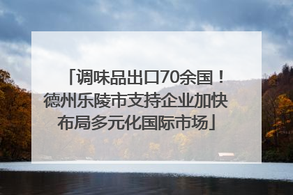 调味品出口70余国！德州乐陵市支持企业加快布局多元化国际市场