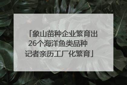 象山苗种企业繁育出26个海洋鱼类品种 记者亲历工厂化繁育