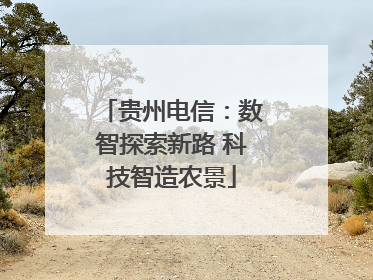 贵州电信：数智探索新路 科技智造农景