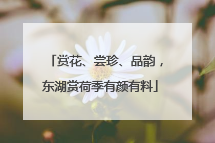 赏花、尝珍、品韵，东湖赏荷季有颜有料