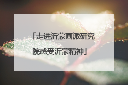 走进沂蒙画派研究院感受沂蒙精神