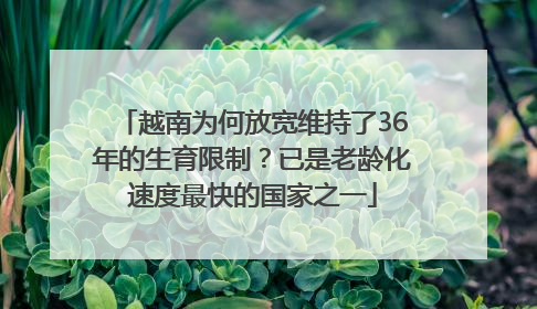 越南为何放宽维持了36年的生育限制？已是老龄化速度最快的国家之一