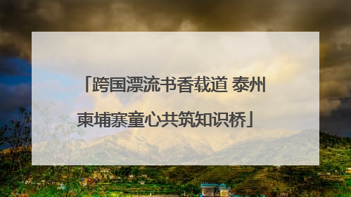 跨国漂流书香载道 泰州柬埔寨童心共筑知识桥