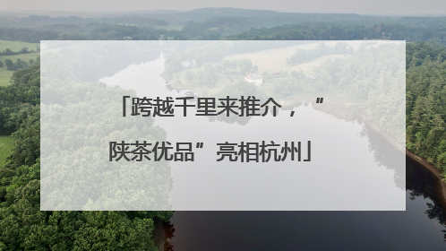 跨越千里来推介，“陕茶优品”亮相杭州