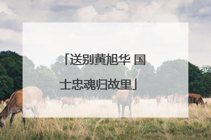 送别黄旭华 国士忠魂归故里
