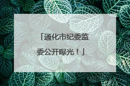通化市纪委监委公开曝光！