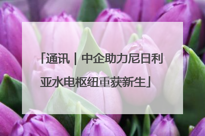 通讯｜中企助力尼日利亚水电枢纽重获新生