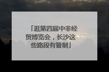 逛第四届中非经贸博览会，长沙这些路段有管制