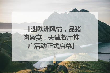 遇欧洲风情，品猪肉盛宴，天津餐厅推广活动正式启幕