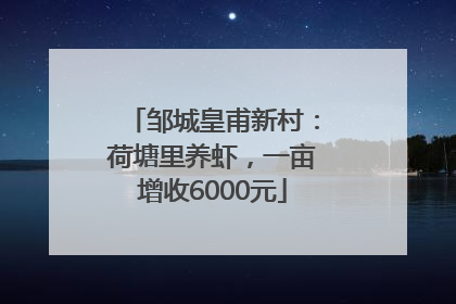 邹城皇甫新村：荷塘里养虾，一亩增收6000元
