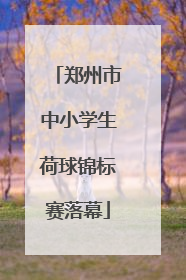 郑州市中小学生荷球锦标赛落幕