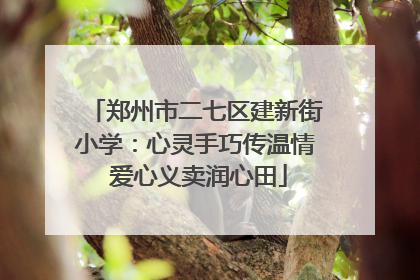 郑州市二七区建新街小学：心灵手巧传温情 爱心义卖润心田