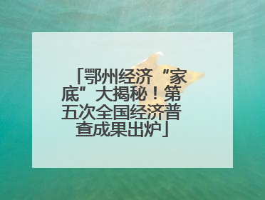 鄂州经济“家底”大揭秘！第五次全国经济普查成果出炉