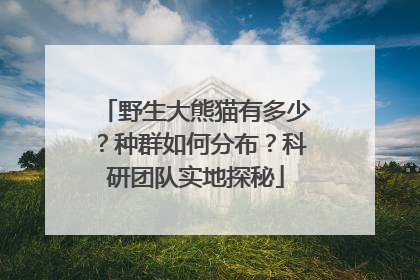 野生大熊猫有多少？种群如何分布？科研团队实地探秘