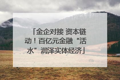 金企对接 资本链动！百亿元金融“活水”润泽实体经济