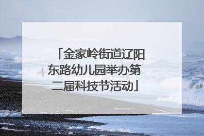 金家岭街道辽阳东路幼儿园举办第二届科技节活动