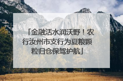 金融活水润沃野！农行汝州市支行为夏粮颗粒归仓保驾护航