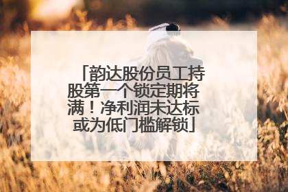 韵达股份员工持股第一个锁定期将满！净利润未达标或为低门槛解锁