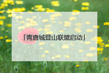 青唐城登山联盟启动
