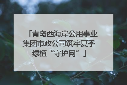 青岛西海岸公用事业集团市政公司筑牢夏季绿植“守护网”