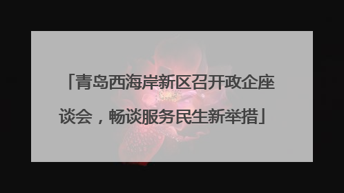 青岛西海岸新区召开政企座谈会，畅谈服务民生新举措