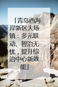 青岛西海岸新区大场镇：多元联动、智治无忧，提升综治中心新效能