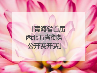 青海省首届西北五省街舞公开赛开赛