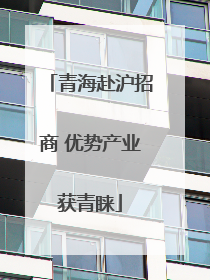 青海赴沪招商 优势产业获青睐